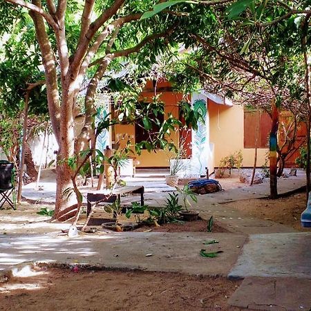 Little Bay Arugam Bay Hostel Ngoại thất bức ảnh